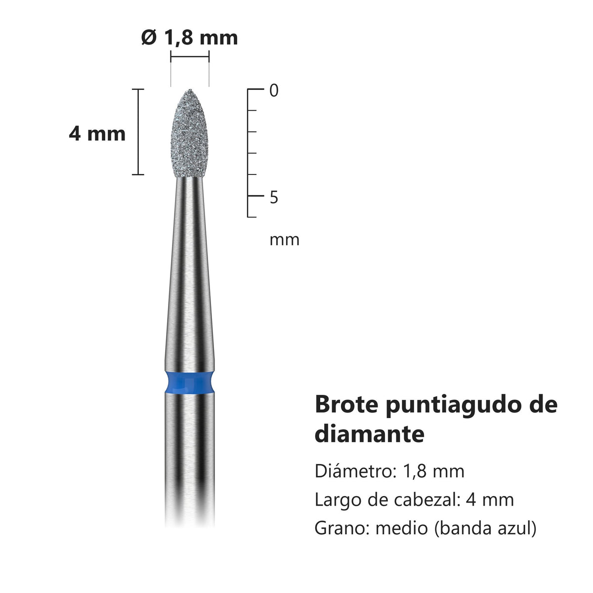 Fresa Brote Azul Staleks Expert — medidas