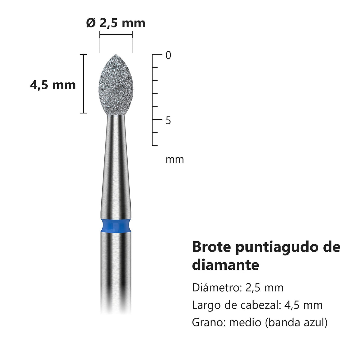Fresa Brote Azul Staleks Expert — medidas
