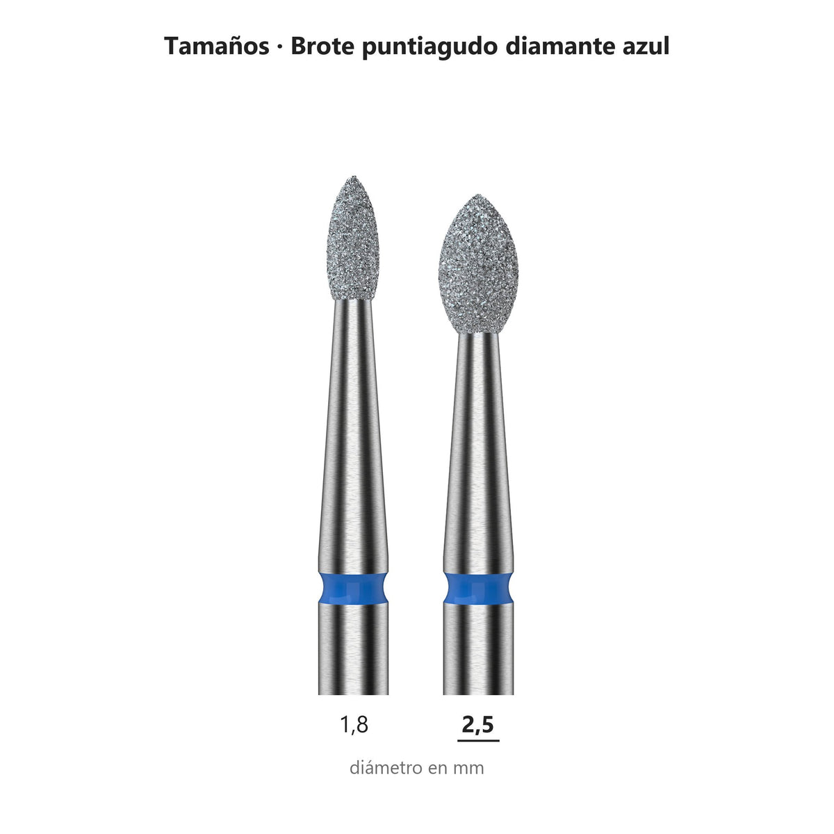 Fresa Brote Azul Staleks Expert — tabla de tamaños de la familia