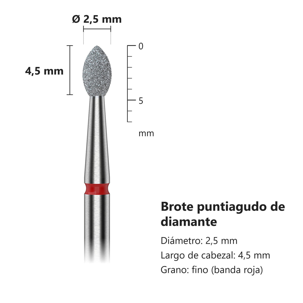 Fresa Brote Rojo Staleks Expert — medidas