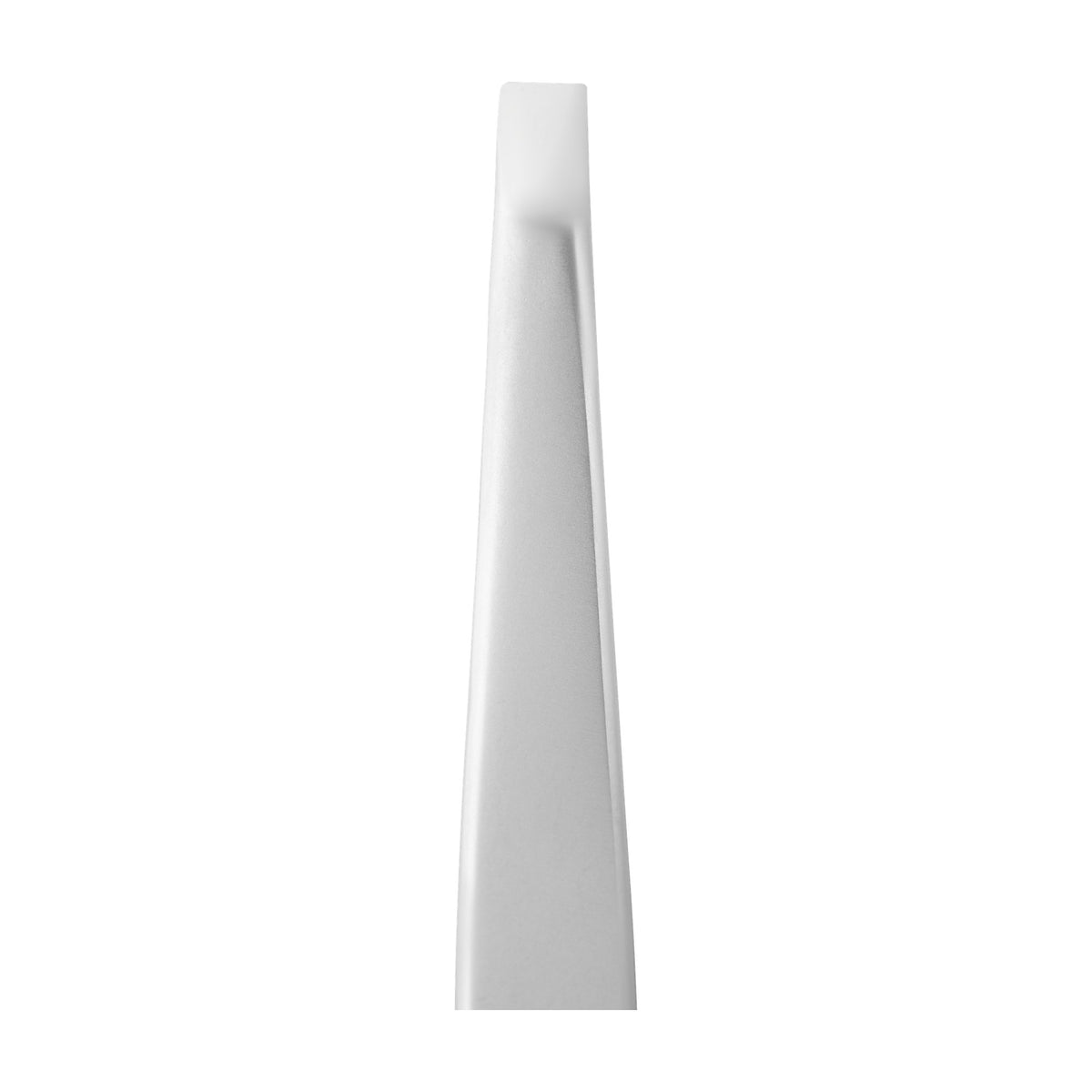 Pinza para Cejas Recta Ancha Staleks Beauty & Care 10 Tipo 1 en su empaque original (9)