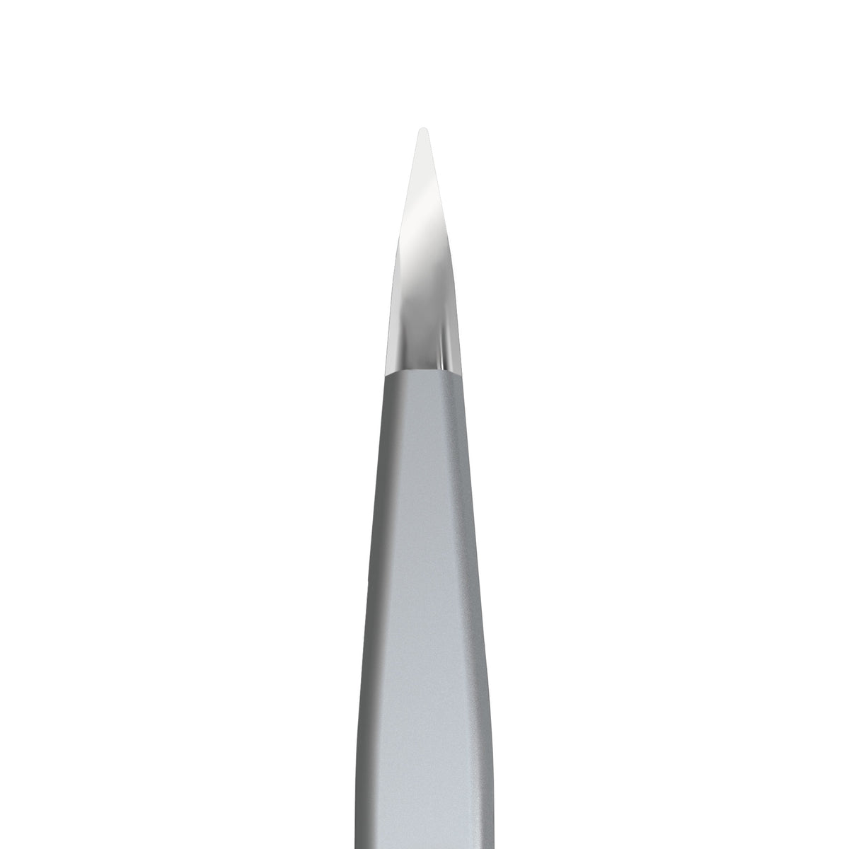 Pinza para Cejas en Punta Staleks Expert 10 Tipo 5 — detalle
