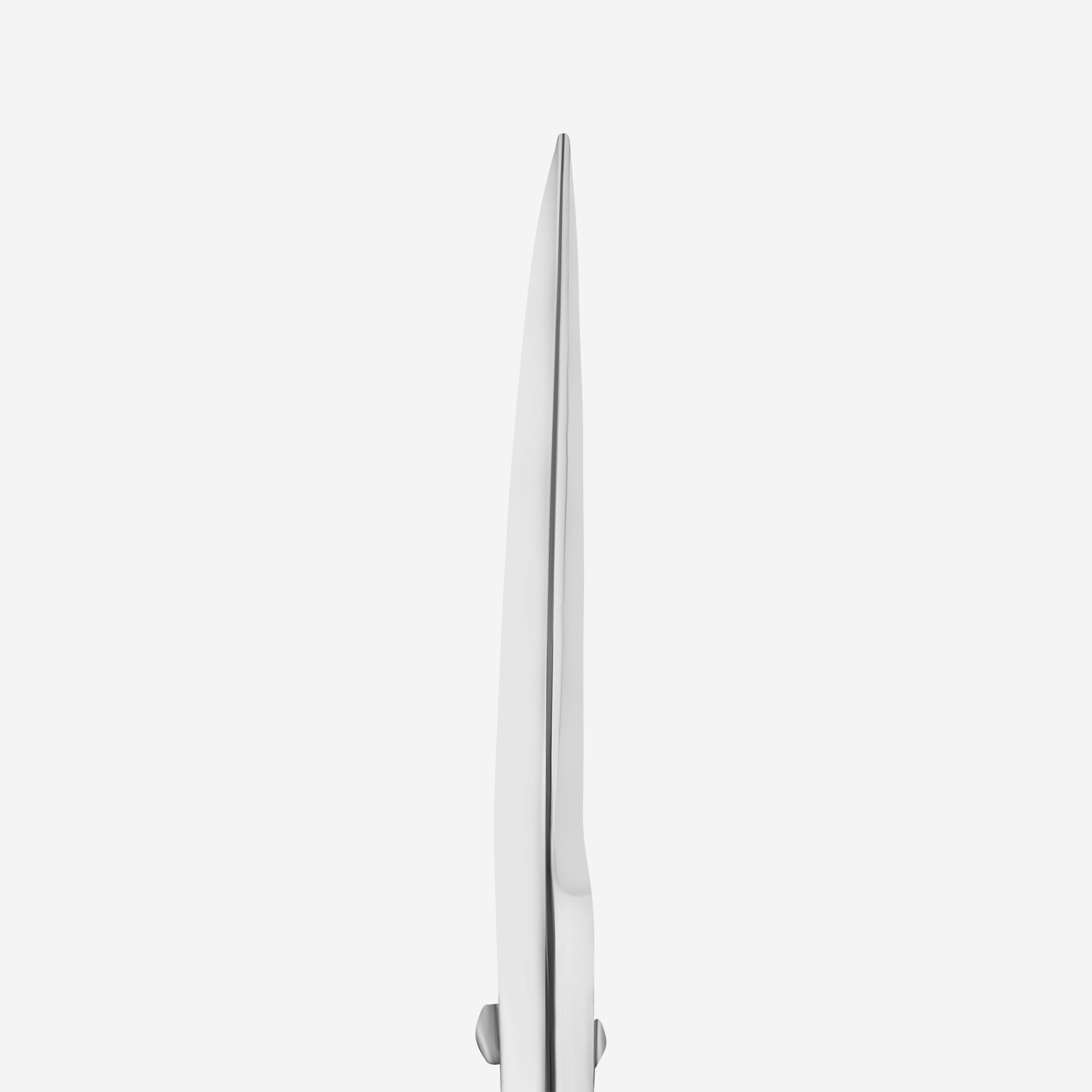 Tijeras profesionales para modelado de cejas EXPERT 30 TIPO 1