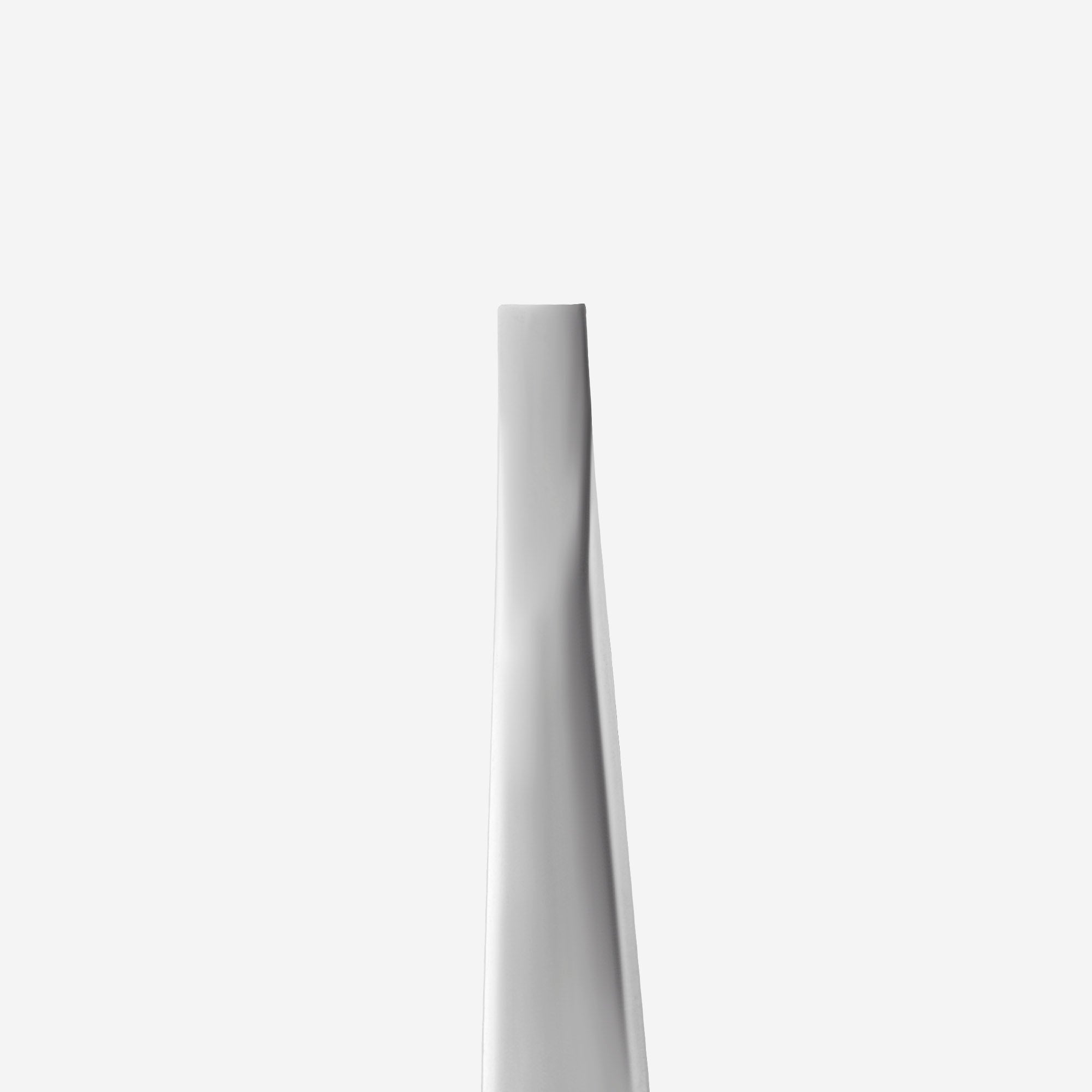 Pinza para cejas EXPERT 10 TIPO 1 (recta ancha)