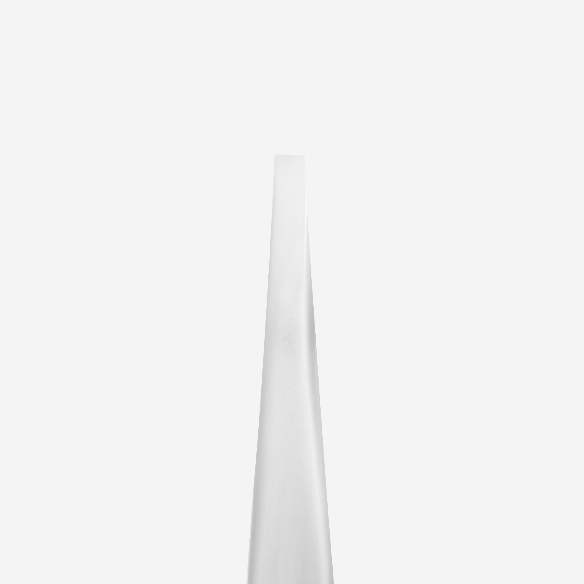 Pinza para cejas EXPERT 10 TIPO 2 (recta estrecha)